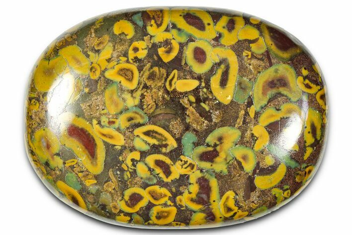Polished Fruit Jasper Palm Stone - India #342254